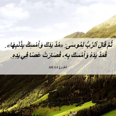 Picture 06 - اَلْخُرُوجُ 4:4 AVD - ثُمَّ قَالَ ٱلرَّبُّ - Bible Verse Picture