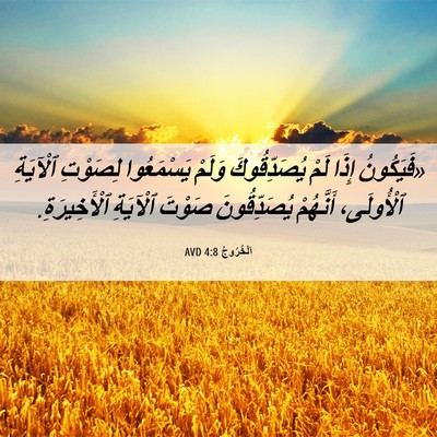 Picture 06 - اَلْخُرُوجُ 4:8 AVD - «فَيَكُونُ إِذَا لَمْ - Bible Verse Picture