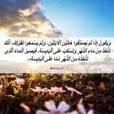 Picture 06 - اَلْخُرُوجُ 4:9 AVD - وَيَكُونُ إِذَا لَمْ - Bible Verse Picture