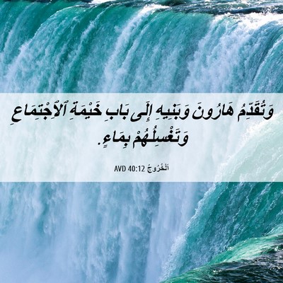 Picture 06 - اَلْخُرُوجُ 40:12 AVD - وَتُقَدِّمُ هَارُونَ - Bible Verse Picture