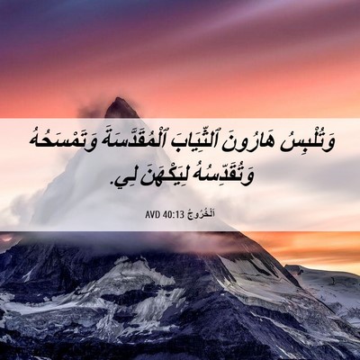 Picture 06 - اَلْخُرُوجُ 40:13 AVD - وَتُلْبِسُ هَارُونَ - Bible Verse Picture