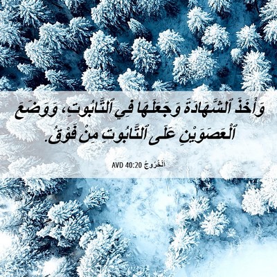 Picture 06 - اَلْخُرُوجُ 40:20 AVD - وَأَخَذَ ٱلشَّهَادَةَ - Bible Verse Picture