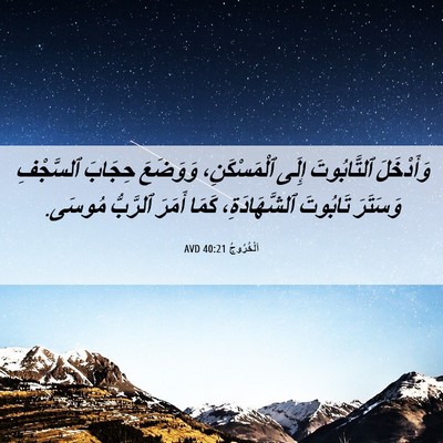 Picture 06 - اَلْخُرُوجُ 40:21 AVD - وَأَدْخَلَ ٱلتَّابُوتَ - Bible Verse Picture