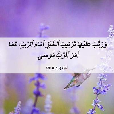 Picture 06 - اَلْخُرُوجُ 40:23 AVD - وَرَتَّبَ عَلَيْهَا - Bible Verse Picture