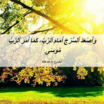 Picture 06 - اَلْخُرُوجُ 40:25 AVD - وَأَصْعَدَ ٱلسُّرُجَ - Bible Verse Picture