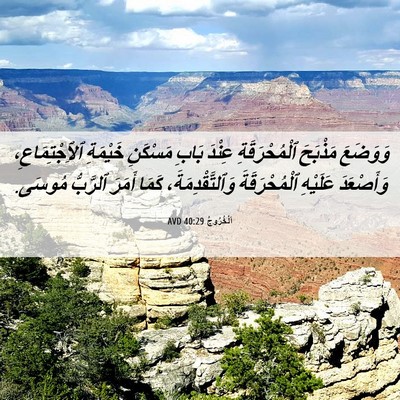 Picture 06 - اَلْخُرُوجُ 40:29 AVD - وَوَضَعَ مَذْبَحَ - Bible Verse Picture