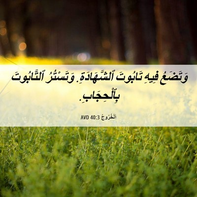 Picture 06 - اَلْخُرُوجُ 40:3 AVD - وَتَضَعُ فِيهِ تَابُوتَ - Bible Verse Picture