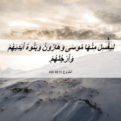 Picture 06 - اَلْخُرُوجُ 40:31 AVD - لِيَغْسِلَ مِنْهَا مُوسَى - Bible Verse Picture