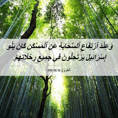 Picture 06 - اَلْخُرُوجُ 40:36 AVD - وَعِنْدَ ٱرْتِفَاعِ - Bible Verse Picture