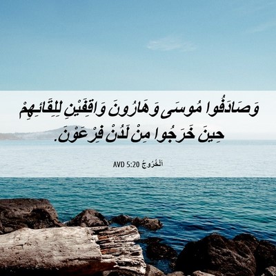Picture 06 - اَلْخُرُوجُ 5:20 AVD - وَصَادَفُوا مُوسَى - Bible Verse Picture