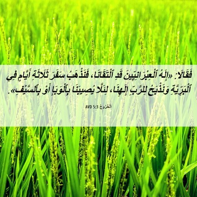 Picture 06 - اَلْخُرُوجُ 5:3 AVD - فَقَالَا: «إِلَهُ - Bible Verse Picture
