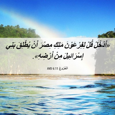 Picture 06 - اَلْخُرُوجُ 6:11 AVD - «اُدْخُلْ قُلْ - Bible Verse Picture