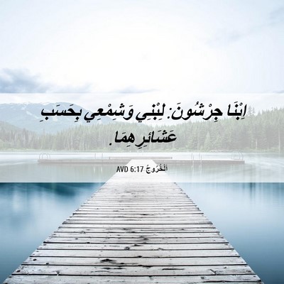Picture 06 - اَلْخُرُوجُ 6:17 AVD - اِبْنَا جِرْشُونَ: لِبْنِي - Bible Verse Picture