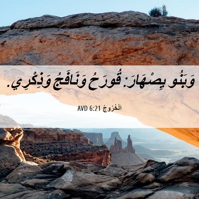 Picture 06 - اَلْخُرُوجُ 6:21 AVD - وَبَنُو يِصْهَارَ: قُورَحُ - Bible Verse Picture