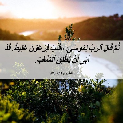 Picture 06 - اَلْخُرُوجُ 7:14 AVD - ثُمَّ قَالَ ٱلرَّبُّ - Bible Verse Picture