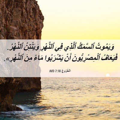 Picture 06 - اَلْخُرُوجُ 7:18 AVD - وَيَمُوتُ ٱلسَّمَكُ - Bible Verse Picture