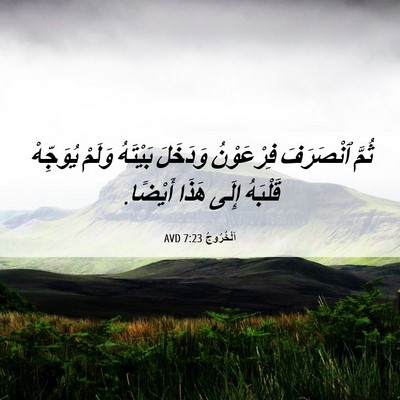 Picture 06 - اَلْخُرُوجُ 7:23 AVD - ثُمَّ ٱنْصَرَفَ - Bible Verse Picture