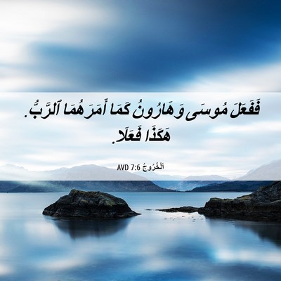 Picture 06 - اَلْخُرُوجُ 7:6 AVD - فَفَعَلَ مُوسَى - Bible Verse Picture