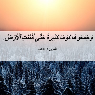 Picture 06 - اَلْخُرُوجُ 8:14 AVD - وَجَمَعُوهَا كُوَمًا - Bible Verse Picture