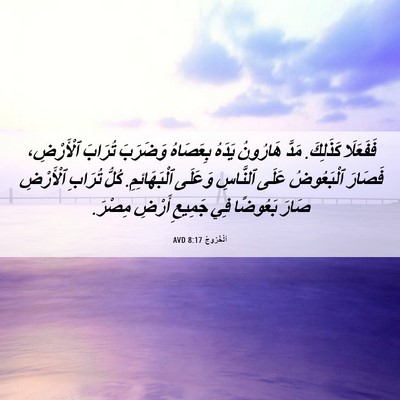 Picture 06 - اَلْخُرُوجُ 8:17 AVD - فَفَعَلَا كَذَلِكَ. مَدَّ - Bible Verse Picture