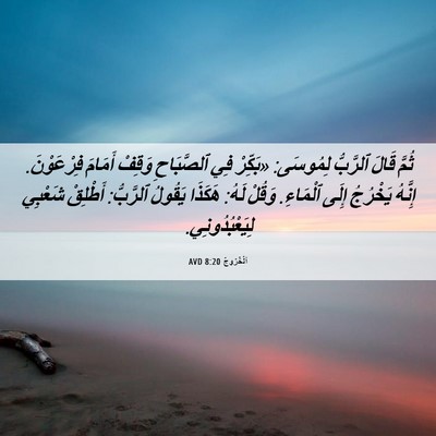 Picture 06 - اَلْخُرُوجُ 8:20 AVD - ثُمَّ قَالَ ٱلرَّبُّ - Bible Verse Picture