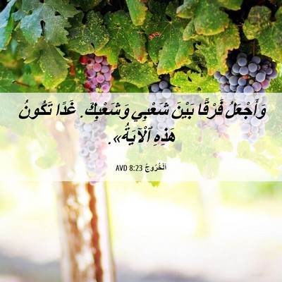 Picture 06 - اَلْخُرُوجُ 8:23 AVD - وَأَجْعَلُ فَرْقًا بَيْنَ - Bible Verse Picture