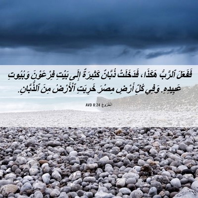 Picture 06 - اَلْخُرُوجُ 8:24 AVD - فَفَعَلَ ٱلرَّبُّ - Bible Verse Picture