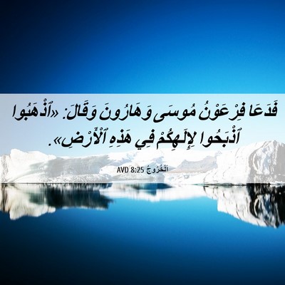 Picture 06 - اَلْخُرُوجُ 8:25 AVD - فَدَعَا فِرْعَوْنُ مُوسَى - Bible Verse Picture