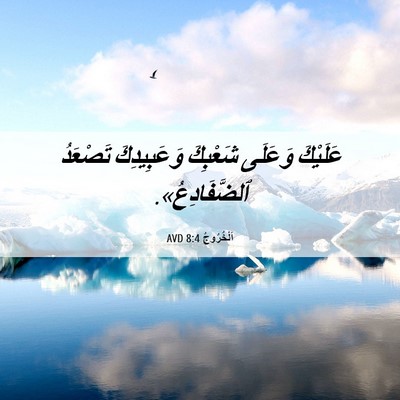 Picture 06 - اَلْخُرُوجُ 8:4 AVD - عَلَيْكَ وَعَلَى شَعْبِكَ - Bible Verse Picture