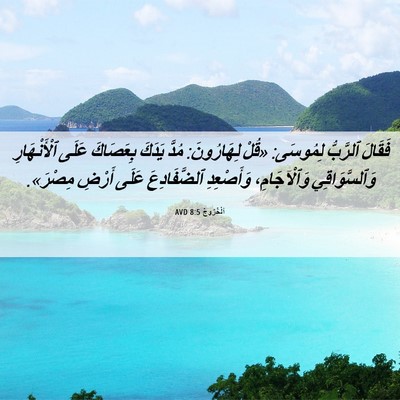 Picture 06 - اَلْخُرُوجُ 8:5 AVD - فَقَالَ ٱلرَّبُّ لِمُوسَى: - Bible Verse Picture