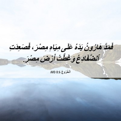 Picture 06 - اَلْخُرُوجُ 8:6 AVD - فَمَدَّ هَارُونُ يَدَهُ - Bible Verse Picture