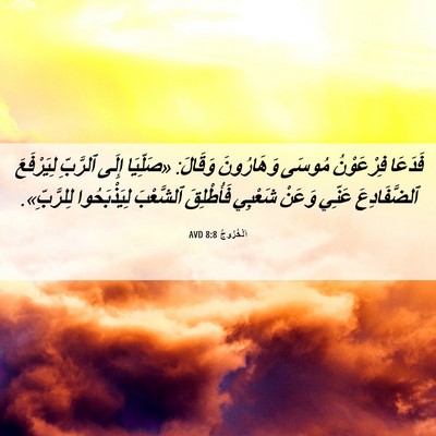 Picture 06 - اَلْخُرُوجُ 8:8 AVD - فَدَعَا فِرْعَوْنُ مُوسَى - Bible Verse Picture
