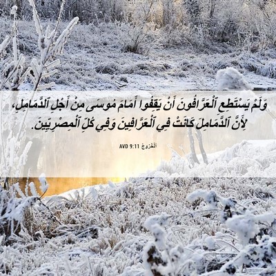 Picture 06 - اَلْخُرُوجُ 9:11 AVD - وَلَمْ يَسْتَطِعِ - Bible Verse Picture
