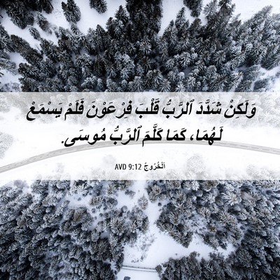 Picture 06 - اَلْخُرُوجُ 9:12 AVD - وَلَكِنْ شَدَّدَ ٱلرَّبُّ - Bible Verse Picture