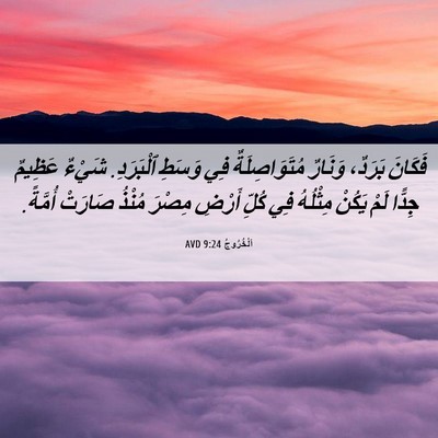 Picture 06 - اَلْخُرُوجُ 9:24 AVD - فَكَانَ بَرَدٌ، وَنَارٌ - Bible Verse Picture