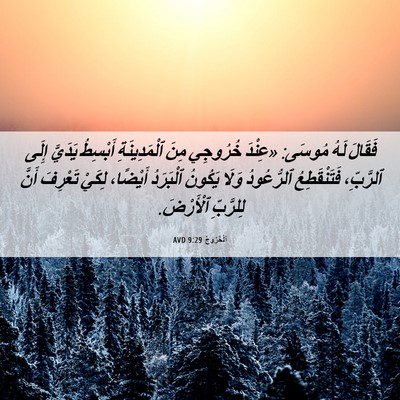 Picture 06 - اَلْخُرُوجُ 9:29 AVD - فَقَالَ لَهُ مُوسَى: - Bible Verse Picture