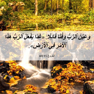 Picture 06 - اَلْخُرُوجُ 9:5 AVD - وَعَيَّنَ ٱلرَّبُّ - Bible Verse Picture