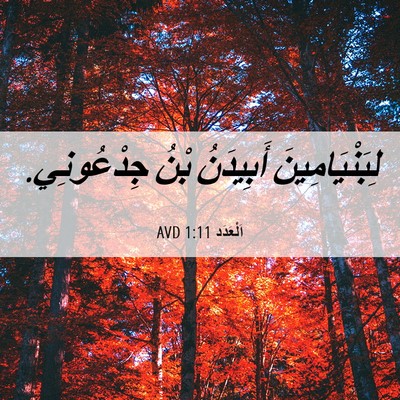 Picture 06 - اَلْعَدَد 1:11 AVD - لِبَنْيَامِينَ أَبِيدَنُ - Bible Verse Picture