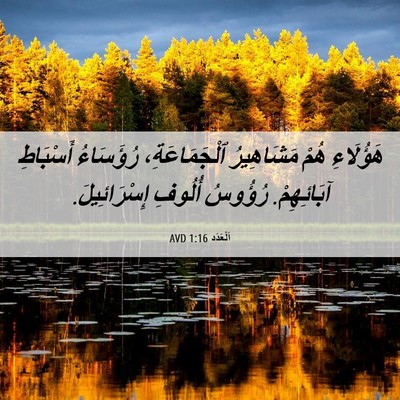 Picture 06 - اَلْعَدَد 1:16 AVD - هَؤُلَاءِ هُمْ مَشَاهِيرُ - Bible Verse Picture