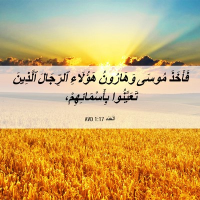 Picture 06 - اَلْعَدَد 1:17 AVD - فَأَخَذَ مُوسَى - Bible Verse Picture