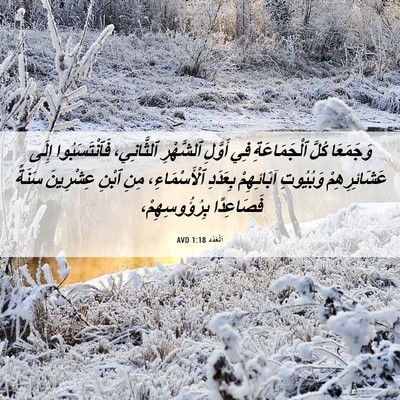Picture 06 - اَلْعَدَد 1:18 AVD - وَجَمَعَا كُلَّ - Bible Verse Picture
