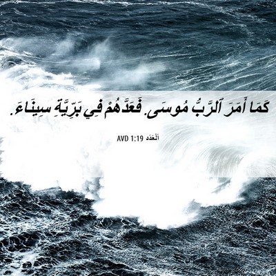 Picture 06 - اَلْعَدَد 1:19 AVD - كَمَا أَمَرَ ٱلرَّبُّ - Bible Verse Picture