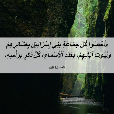 Picture 06 - اَلْعَدَد 1:2 AVD - «أَحْصُوا كُلَّ جَمَاعَةِ - Bible Verse Picture