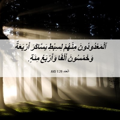Picture 06 - اَلْعَدَد 1:29 AVD - ٱلْمَعْدُودُونَ مِنْهُمْ - Bible Verse Picture