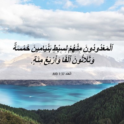 Picture 06 - اَلْعَدَد 1:37 AVD - ٱلْمَعْدُودُونَ مِنْهُمْ - Bible Verse Picture