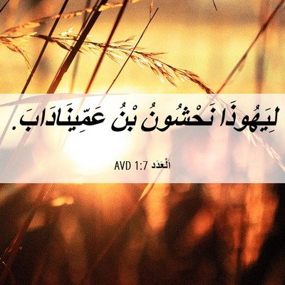 Picture 06 - اَلْعَدَد 1:7 AVD - لِيَهُوذَا نَحْشُونُ بْنُ - Bible Verse Picture