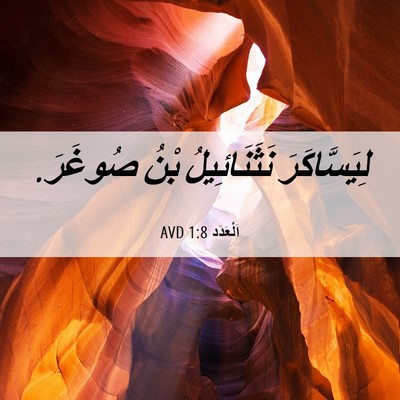 Picture 06 - اَلْعَدَد 1:8 AVD - لِيَسَّاكَرَ نَثَنَائِيلُ - Bible Verse Picture