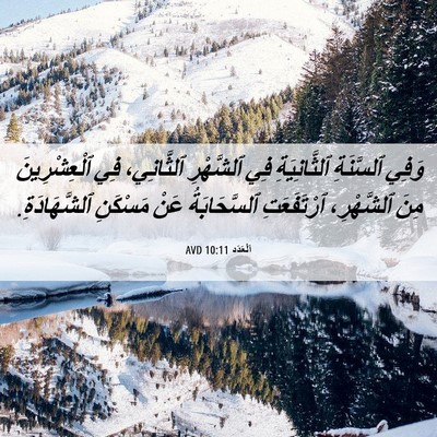 Picture 06 - اَلْعَدَد 10:11 AVD - وَفِي ٱلسَّنَةِ - Bible Verse Picture