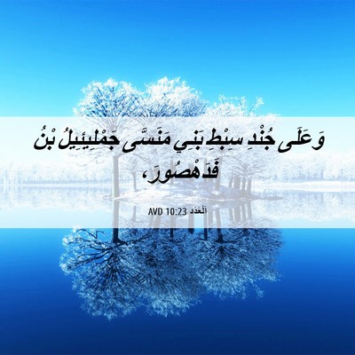 Picture 06 - اَلْعَدَد 10:23 AVD - وَعَلَى جُنْدِ سِبْطِ - Bible Verse Picture