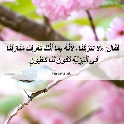 Picture 06 - اَلْعَدَد 10:31 AVD - فَقَالَ: «لَا تَتْرُكْنَا، - Bible Verse Picture